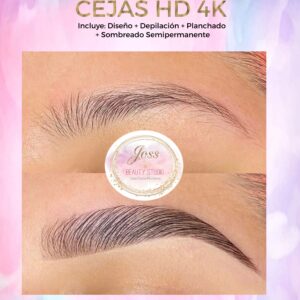 CURSO DE CEJAS HD 4K (LAMINADO)